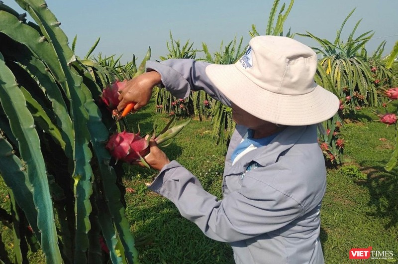 Khi được bảo hộ chỉ dẫn địa lý, đặc sản vùng miền gắn tên với các địa danh của Việt Nam được bảo hộ bằng một cơ chế bảo hộ tương đối mạnh.