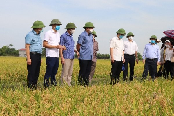 Hiệu quả kinh tế từ phát triển HTX ứng dụng công nghệ cao - Ảnh 3.