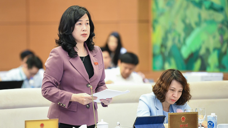 Bà Đào Hồng Lan phát biểu tại kỳ họp Quốc hội Bà Đào Hồng Lan phát biểu tại kỳ họp Quốc hội