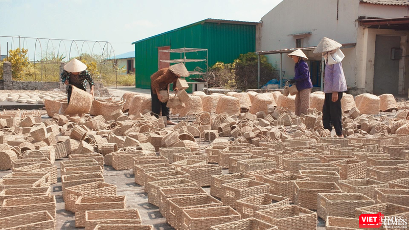 Hơn 800 thợ thủ công ở các làng nghề cói xiên Ninh Bình, Nam Định có việc làm ổn định, kể cả trong giai đoạn COVID-19.