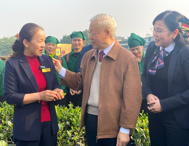 Tổng Bí thư Nguyễn Phú Trọng thăm nơi sản xuất, chế biến chè của HTX Chè Hảo Đạt Tổng Bí thư Nguyễn Phú Trọng thăm nơi sản xuất, chế biến chè của HTX Chè Hảo Đạt