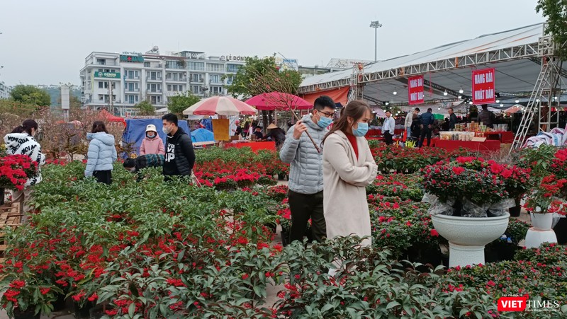 Ngoài lan, Hội chợ Hoa xuân còn trưng bày, bán nhiều loại hoa, cây cảnh rực rỡ, phong phú.