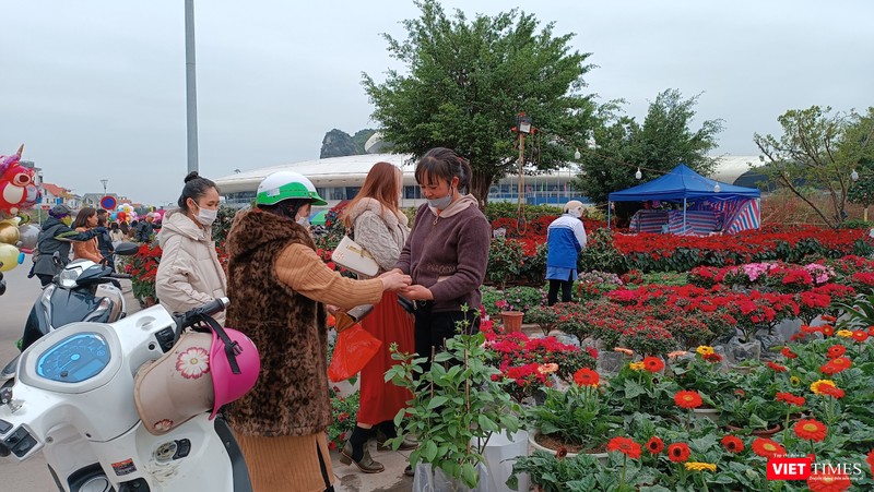 Những bình hoa nhỏ, các loại cây giá trị nhỏ như hoa đồng tiền, hoa trạng nguyên, cúc, hồng bán chạy.
