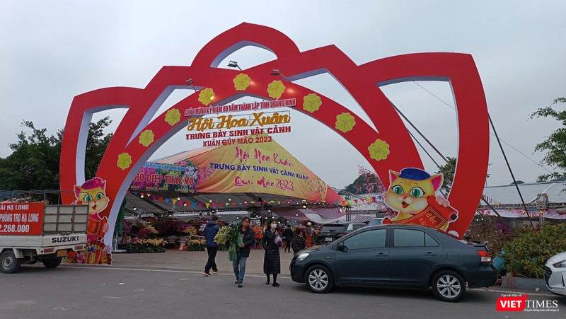 Hội hoa xuân Hạ Long 2023 tiếp tục được tổ chức tại khu vực Quảng trường 30/10, phường Hồng Hải, TP Hạ Long (Quảng Ninh). Nhiều tiểu thương buôn hoa từ miền Nam hay Tây Bắc cũng về đây để trưng bày phục vụ người dân những ngày Tết.