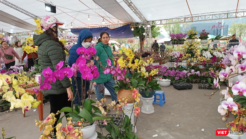 Chị Thanh Hiền (Quảng Yên - Quảng Ninh) - chủ một gian hàng hoa lan cho biết, 2 năm trở lại đây, lượng khách đến xem nhiều, lượng mua bắt đầu tăng trong những ngày sát Tết.