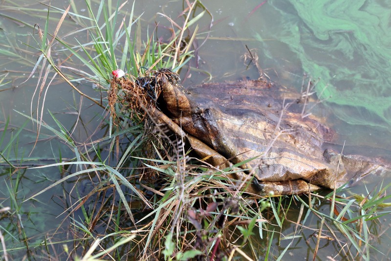 Cần thủ đầu tiên móc trúng... bao xi măng. Cần thủ đầu tiên móc trúng... bao xi măng.