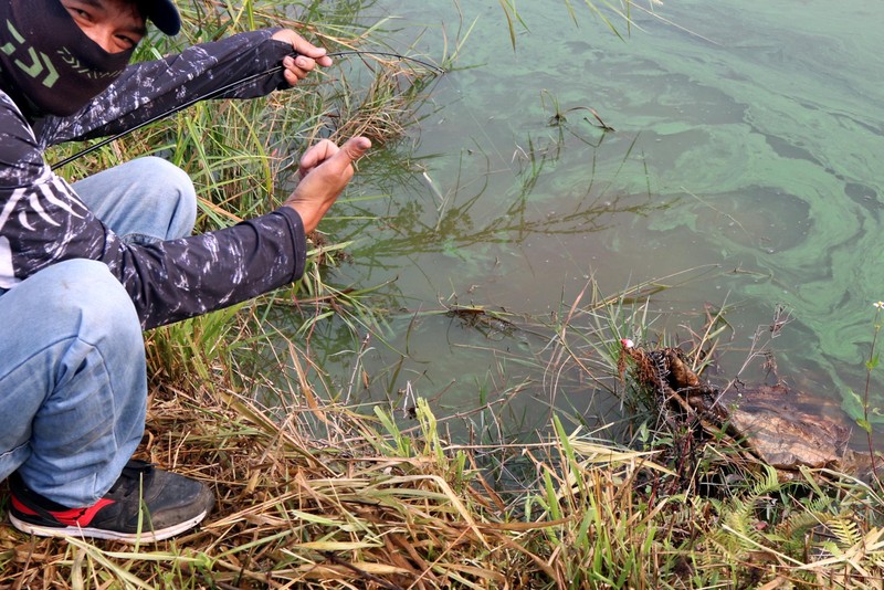 Anh ta vẫn vui, mặc dù phải vất vả tháo bao xi măng khỏi lưỡi câu. Anh ta vẫn vui, mặc dù phải vất vả tháo bao xi măng khỏi lưỡi câu.