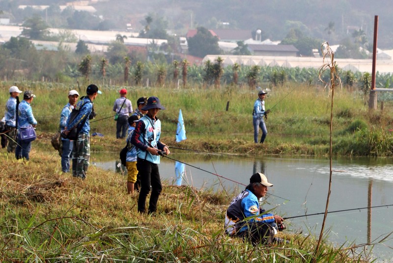Các cần thủ chăm chú theo dõi... Các cần thủ chăm chú theo dõi...