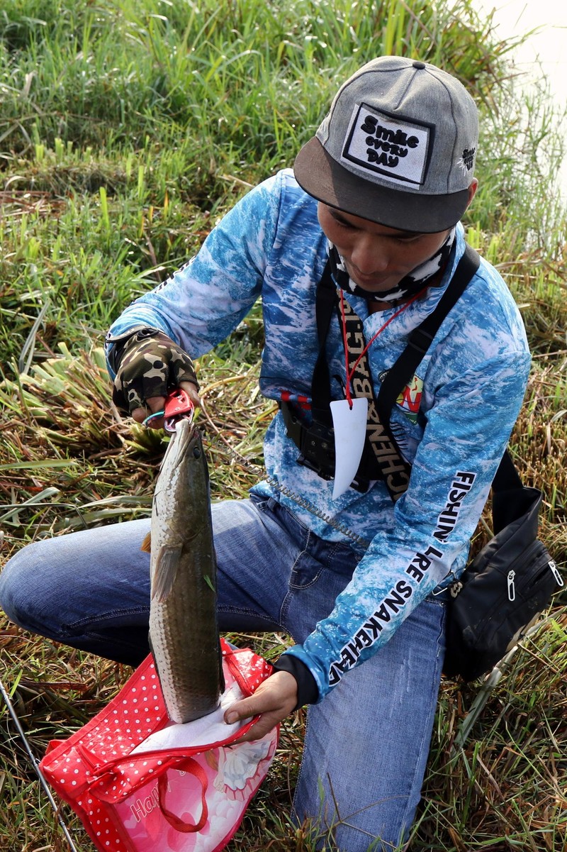 Trong lúc đó, ở một ao nhỏ xíu, thông với hồ, một cần thủ đã câu được con cá lóc to tướng, làm cho các trong tài và cả chàng phóng viên ảnh, ngẩn ngơ. Trong lúc đó, ở một ao nhỏ xíu, thông với hồ, một cần thủ đã câu được con cá lóc to tướng, làm cho các trong tài và cả chàng phóng viên ảnh, ngẩn ngơ.