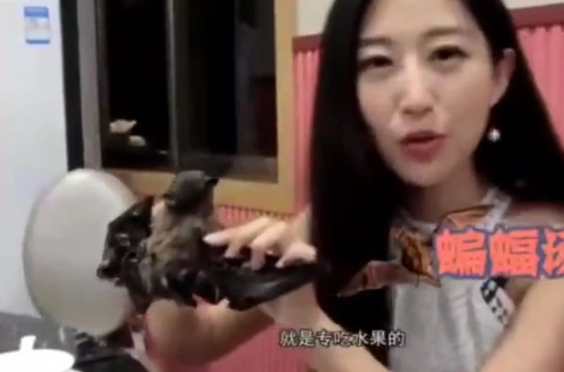 Wang Mengyun, người nổi tiếng trên mạng xã hội Trung Quốc, trong một đoạn video ăn món canh dơi (Ảnh: SCMP) Wang Mengyun, người nổi tiếng trên mạng xã hội Trung Quốc, trong một đoạn video ăn món canh dơi (Ảnh: SCMP)