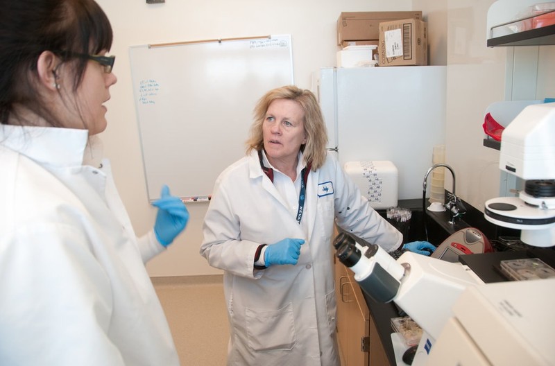 Tiến sĩ Judy Mikovits thời còn làm việc tại Viện Whittemore năm 2011 (Ảnh: AP) Tiến sĩ Judy Mikovits thời còn làm việc tại Viện Whittemore năm 2011 (Ảnh: AP)