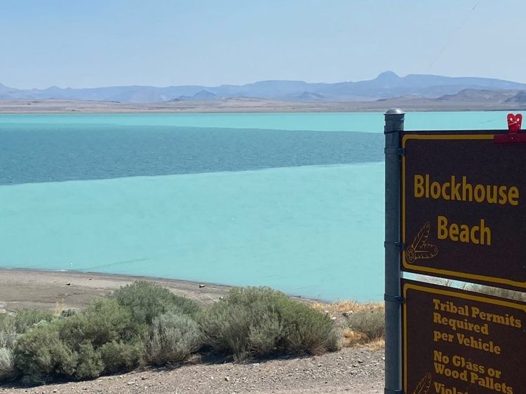 Hiện tượng lạ xuất hiện cứ sau 7 - 10 năm (Ảnh: OC) Hiện tượng lạ xuất hiện cứ sau 7 - 10 năm (Ảnh: OC)