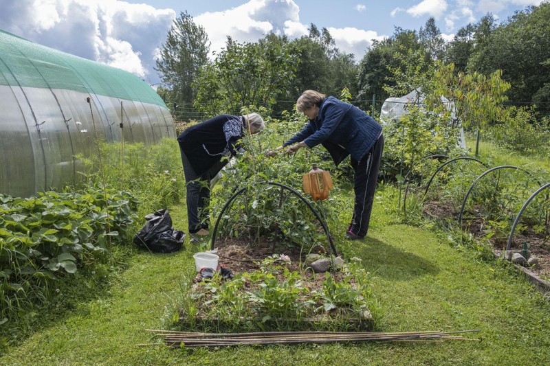 Abramova cùng mẹ làm vườn (Ảnh: WSJ)