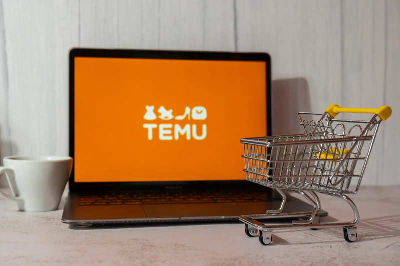Temu gây sốt nhờ bán hàng hóa giá cực kỳ phải chăng (Ảnh: Technode) 5.png