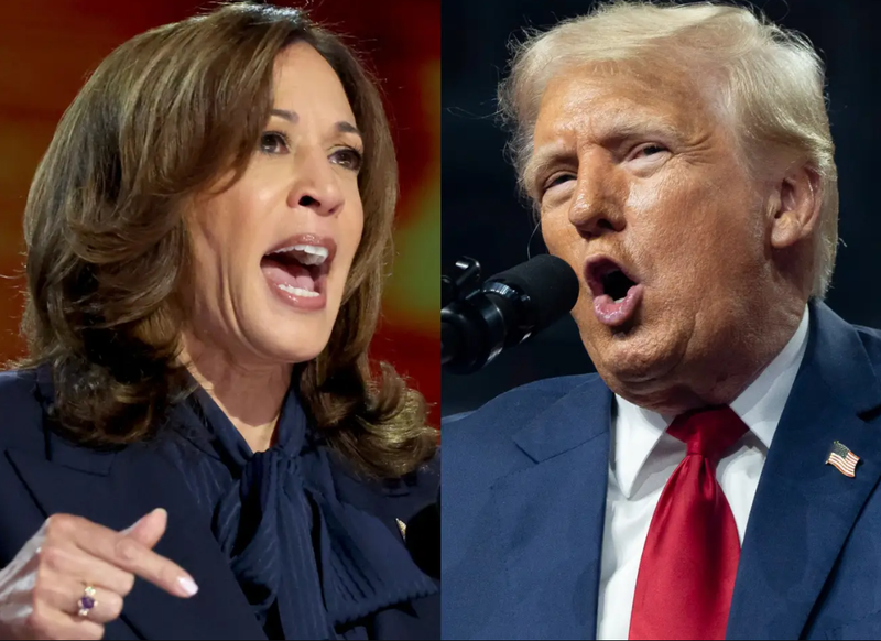 Trong cuộc thăm dò mới nhất, bà Kamala Harris đang dẫn trước ông Donald Trump ở bang Iowa (Ảnh: Getty)