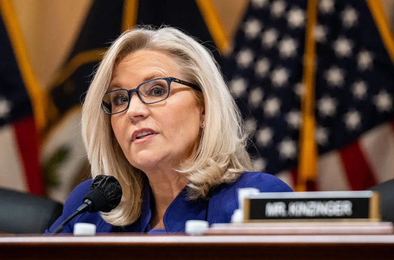 Nghị sĩ Liz Cheney. Ảnh: NYTimes. 3.png
