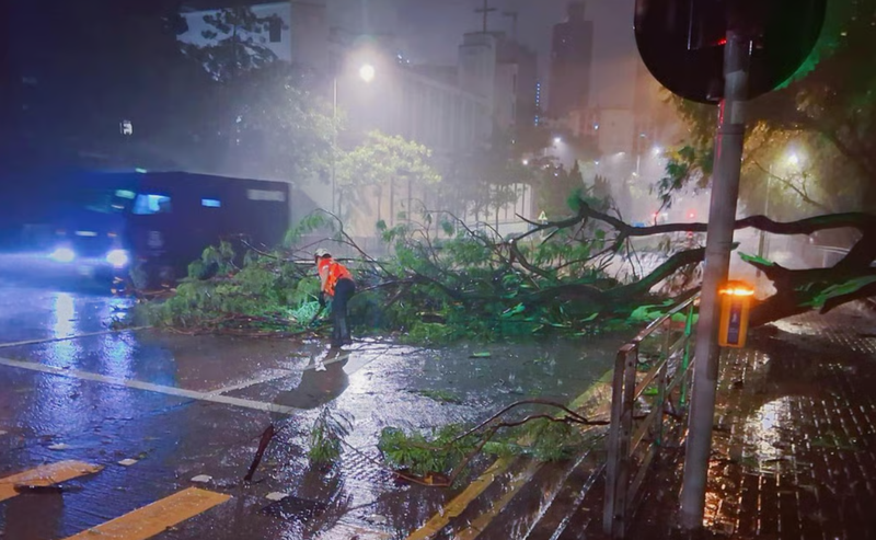 Siêu bão với sức gió mạnh khiến nhiều cây cối đổ rạp ở Hong Kong. Ảnh: SCMP. Siêu bão Ragasa tàn phá Hong Kong, 700 chuyến bay bị hủy 6.png