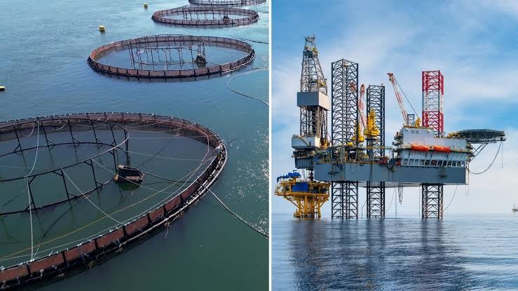 Cơ sở này có khả năng hoạt động trong điều kiện biển động. Ảnh: IE.