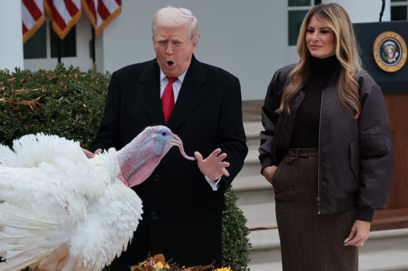 Tổng thống Mỹ Donald Trump và đệ nhất phu nhân Melania Trump bên cạnh Gobble, một trong hai chú gà tây được ân xá trong Lễ Tạ ơn, tại Vườn Hồng ở Nhà Trắng ở Washington, D.C., ngày 25/11. Ảnh: Reuters.