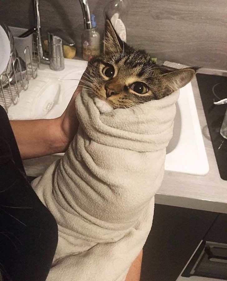 Ảnh: BrightSide Ảnh: BrightSide