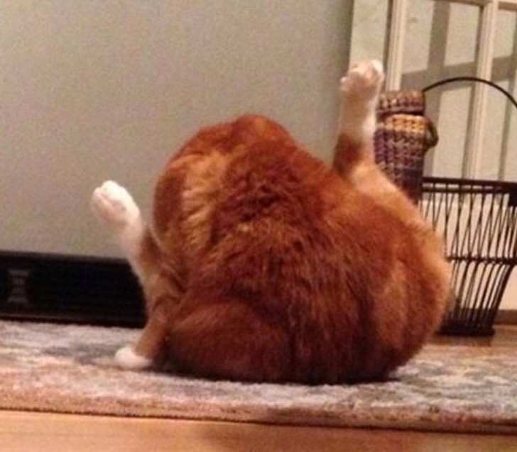 Ảnh: BrightSide Ảnh: BrightSide