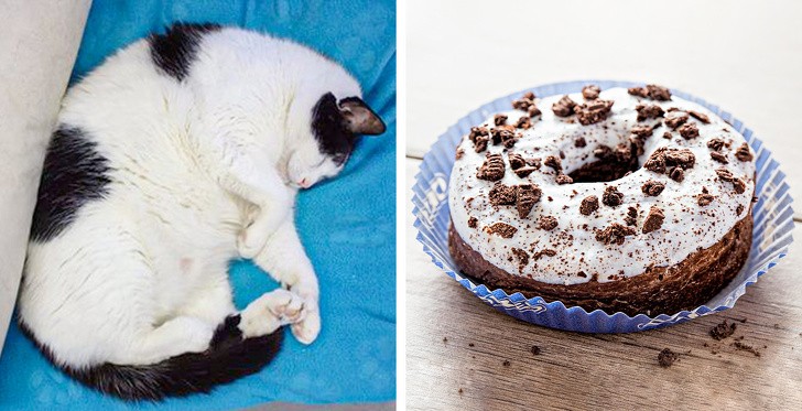 Ảnh: BrightSide Ảnh: BrightSide