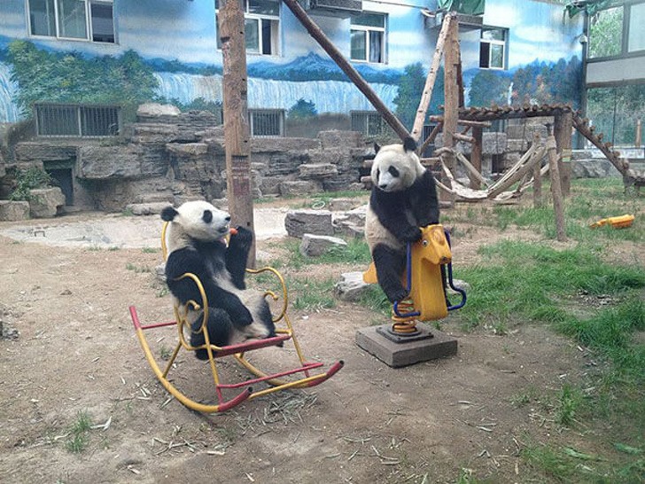 Ảnh: BrightSide Ảnh: BrightSide