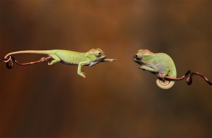 Ảnh: BrightSide Ảnh: BrightSide