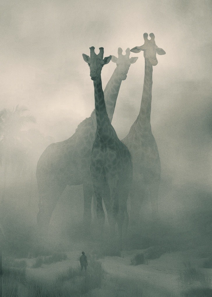 Ảnh: BrightSide Ảnh: BrightSide