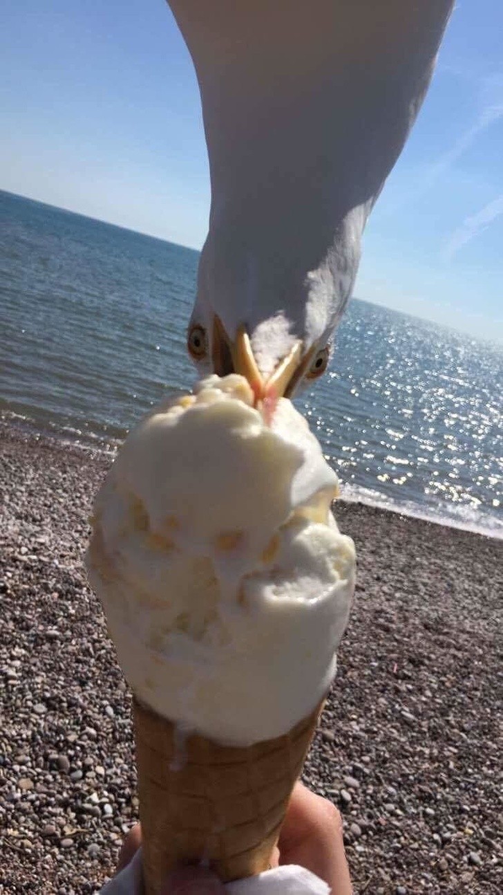 Ảnh: BrightSide Ảnh: BrightSide
