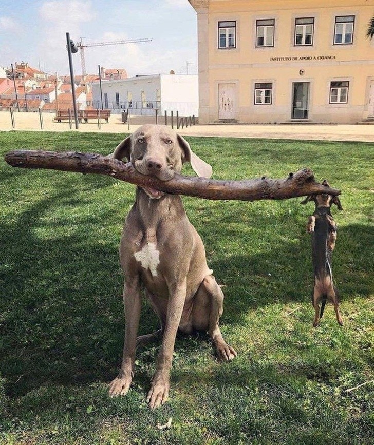 Ảnh: BrightSide Ảnh: BrightSide