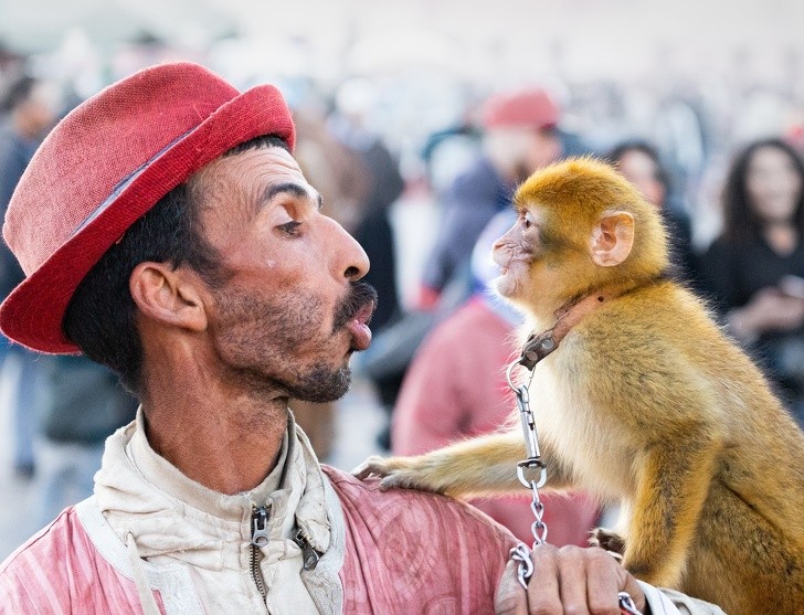 Ảnh: BrightSide Ảnh: BrightSide