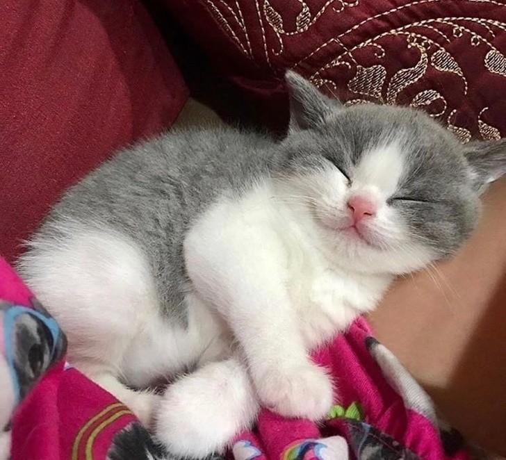 Ảnh: BrightSide Ảnh: BrightSide