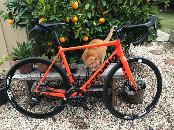 Ảnh: BrightSide Ảnh: BrightSide