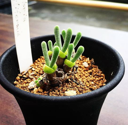 Ảnh: BrightSide Ảnh: BrightSide