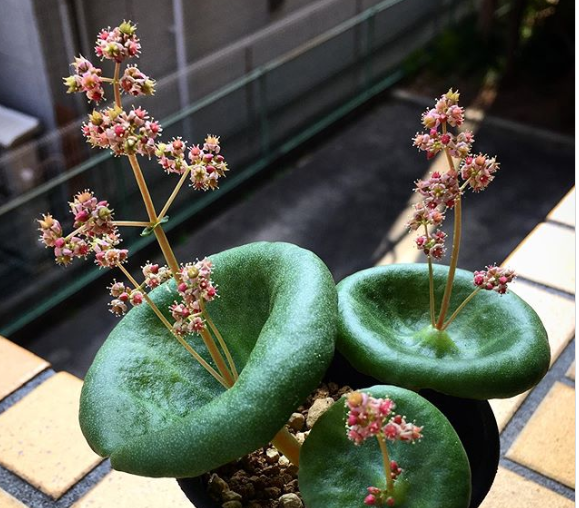 Ảnh: BrightSide Ảnh: BrightSide