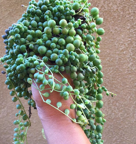 Ảnh: BrightSide Ảnh: BrightSide