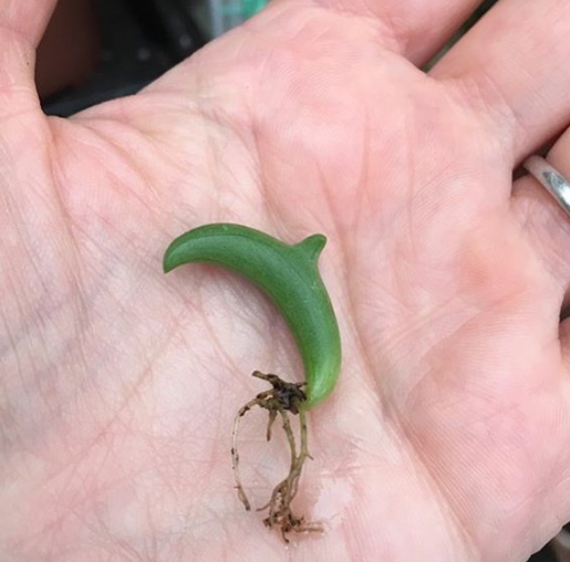 Ảnh: BrightSide Ảnh: BrightSide