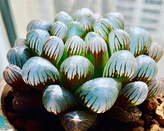 Ảnh: BrightSide Ảnh: BrightSide