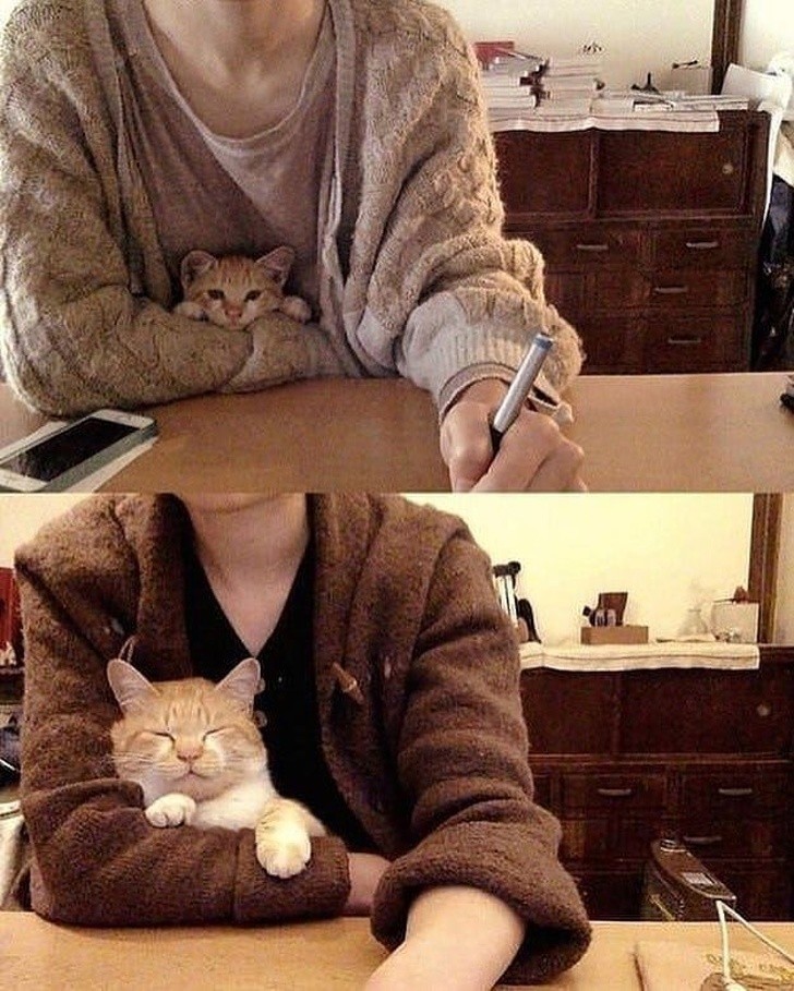 Ảnh: BrightSide Ảnh: BrightSide