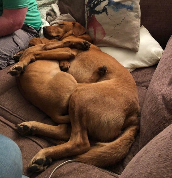 Ảnh: BrightSide Ảnh: BrightSide