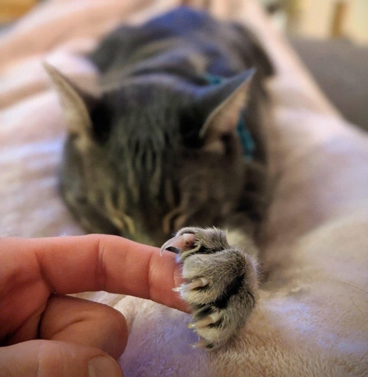 Ảnh: BrightSide Ảnh: BrightSide