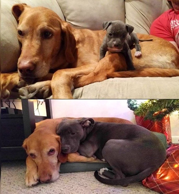 Ảnh: BrightSide Ảnh: BrightSide