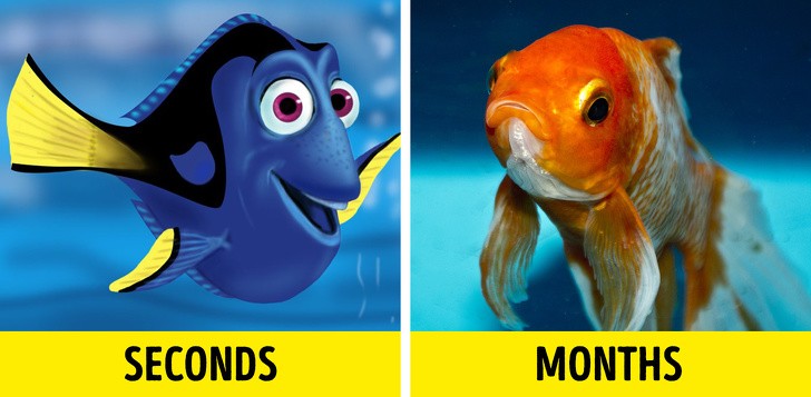 Ảnh: BrightSide Ảnh: BrightSide