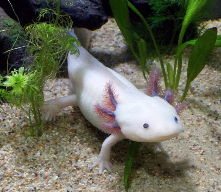 Ảnh: BrightSide Ảnh: BrightSide