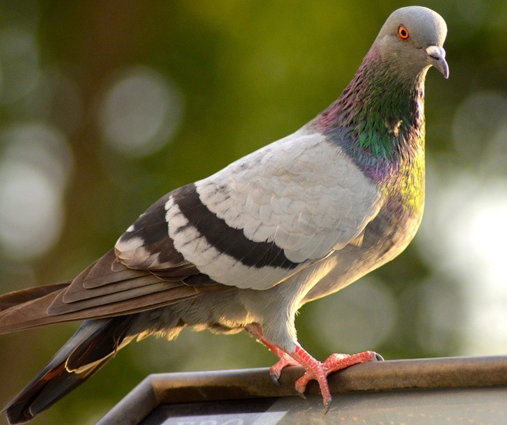 Ảnh: BrightSide Ảnh: BrightSide