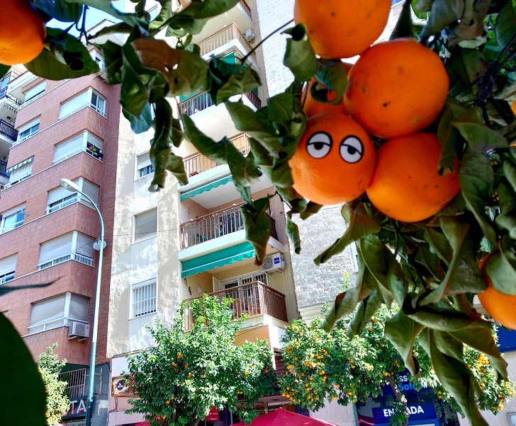 Ảnh: BrightSide Ảnh: BrightSide