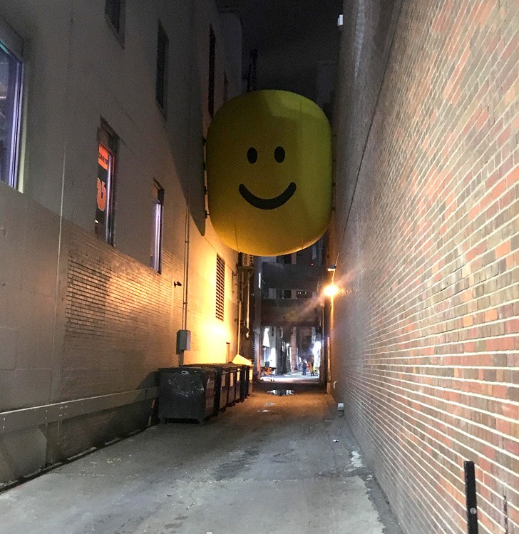 Ảnh: BrightSide Ảnh: BrightSide