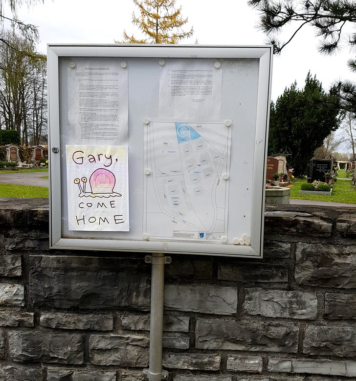 Ảnh: BrightSide Ảnh: BrightSide