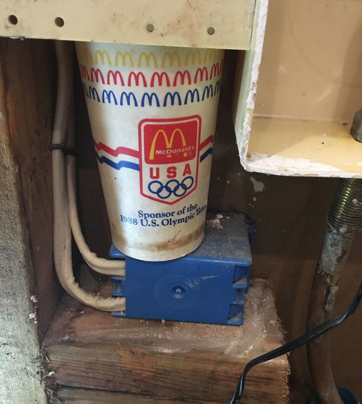 Ảnh: BrightSide Ảnh: BrightSide